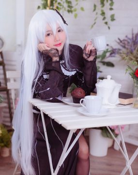 Sally Dorasnow – Echidna