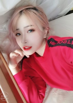 花リリ(Plant Lily) – Plant Lily