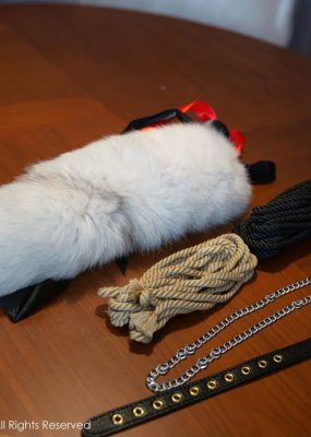 秀人网 No.6890 是小逗逗 猫咪造型拍摄性感写真
