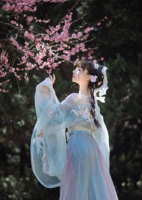 紫氯氯 – 二月梅花