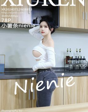 秀人网 No.8853 小薯条nienie