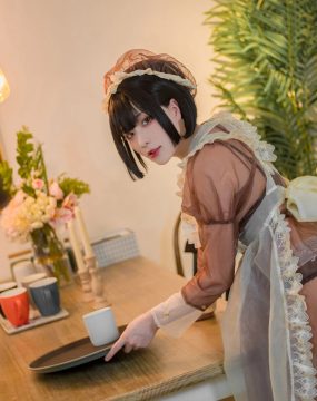 起司块wii写真 棕色透明装女仆
