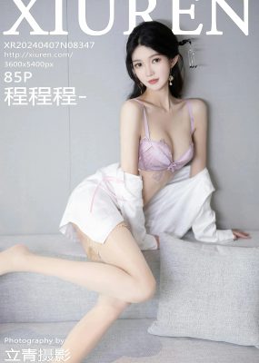秀人网 No.8347 程程程-